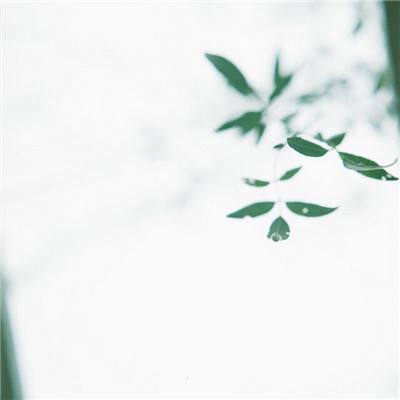 球王会官方app下载